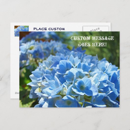 Cartes de poste Nature Custom Business Hydrangeas (Devant / Derrière)