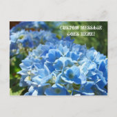 Cartes de poste Nature Custom Business Hydrangeas (Devant)