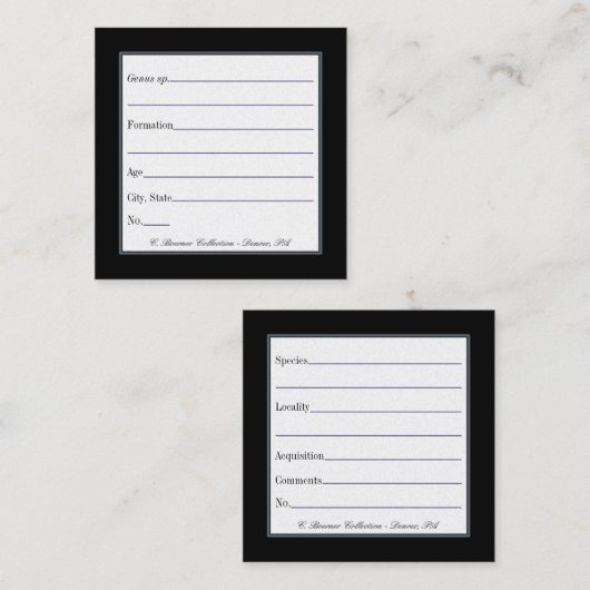 Cartes de présentation pour collections de fossile (Devant / Derrière)