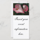 Cartes de présentoir de calla lily (Dos)
