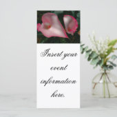 Cartes de présentoir de calla lily (Debout devant)