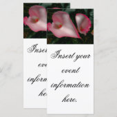 Cartes de présentoir de calla lily (Devant / Derrière)