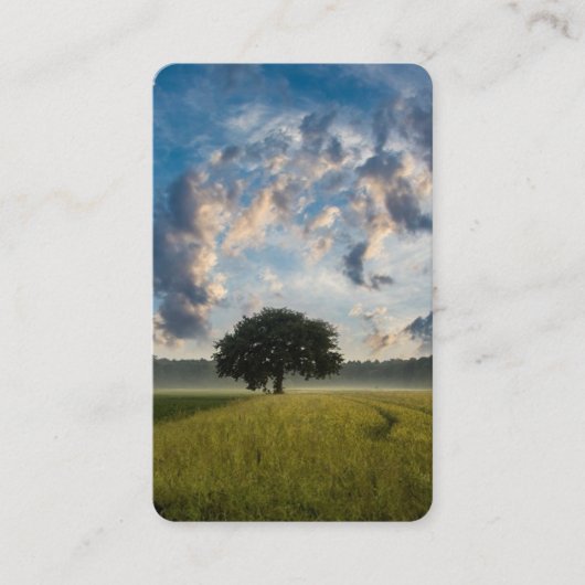 Cartes de prière | Arbre Lone 1 Deluxe (Devant)