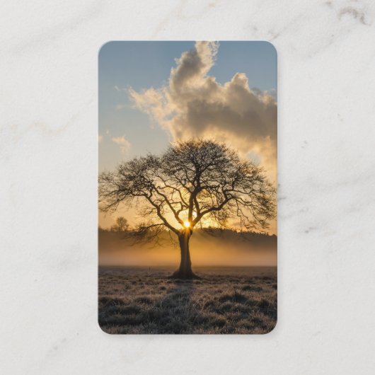 Cartes de prière | Arbre Lone Deluxe 01 (Devant)
