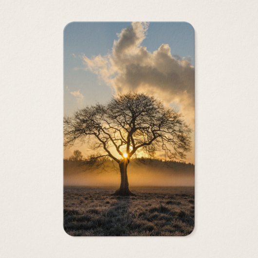 Cartes de prière | Arbre unique (Devant)