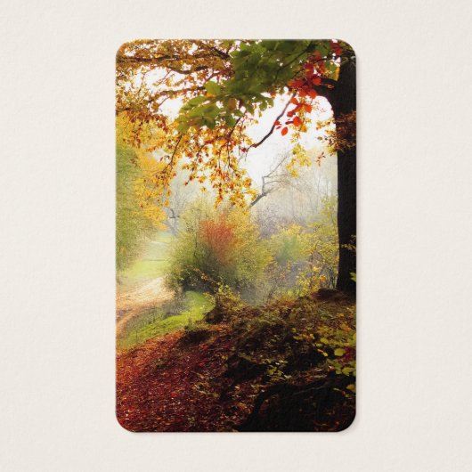 Cartes de prière | Forêt (Devant)