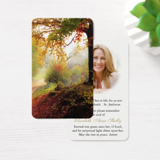 Cartes de prière | Forêt (Bureau)