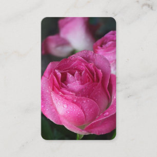 Cartes de prière Rose précis