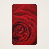 Cartes de prière | Rose rouge (Devant)