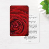 Cartes de prière | Rose rouge (Bureau)