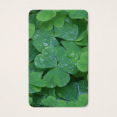 Cartes de prière | SHAMROCK 2 (Devant)