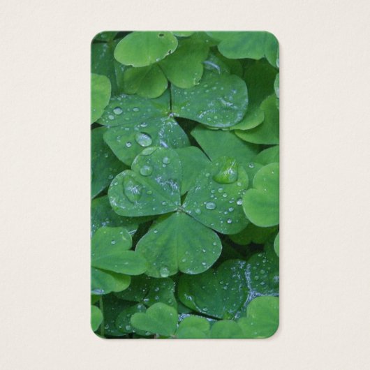 Cartes de prière | SHAMROCK 2 (Devant)