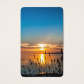 Cartes de prière | Sunset Reeds (Devant)