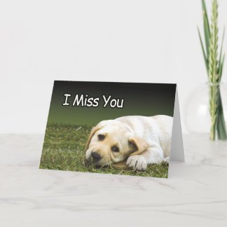 Cartes de prison - Miss U