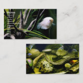 Cartes de profil d'aquarium (Devant / Derrière)