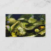 Cartes de profil d'aquarium (Dos)