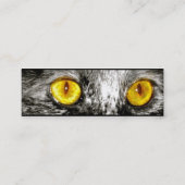 Cartes de profil de chat de singe (Dos)