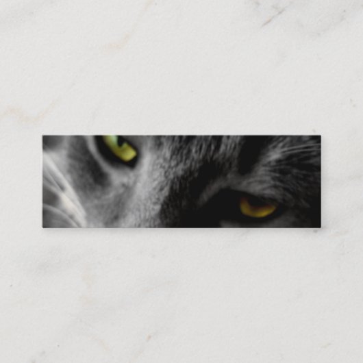 Cartes de profil des plots réflectorisés (Devant)