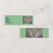 Cartes de profil Little Grey Kitts (Devant / Derrière)