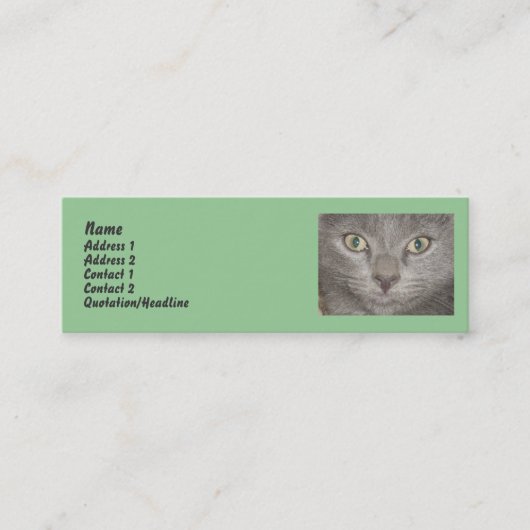 Cartes de profil Little Grey Kitts (Devant)