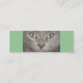 Cartes de profil Little Grey Kitts (Dos)