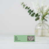 Cartes de profil Little Grey Kitts (Debout devant)