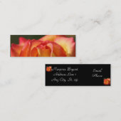 CARTES DE PROFIL ROSE PEACH (Devant / Derrière)