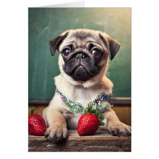 Cartes de pug (Devant)