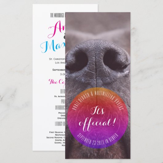Cartes de rangement Dognose (Devant / Derrière)