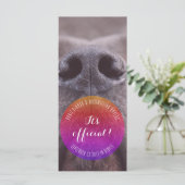 Cartes de rangement Dognose (Debout devant)