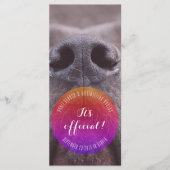 Cartes de rangement Dognose (Devant)