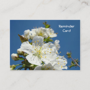 Cartes de rappel de rendez-vous Fleurs de ciel ble