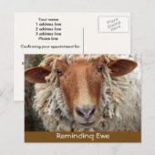 Cartes de rappel pour brebis : Cartes de rappel (Devant / Derrière)