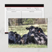 Cartes de recettes de vaches Black Angus (Devant / Derrière)
