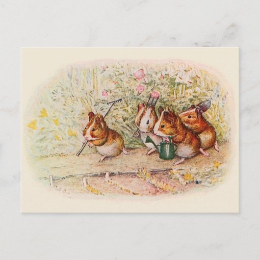 Cartes de recettes pour cochons d'Inde jardiniers (Devant)