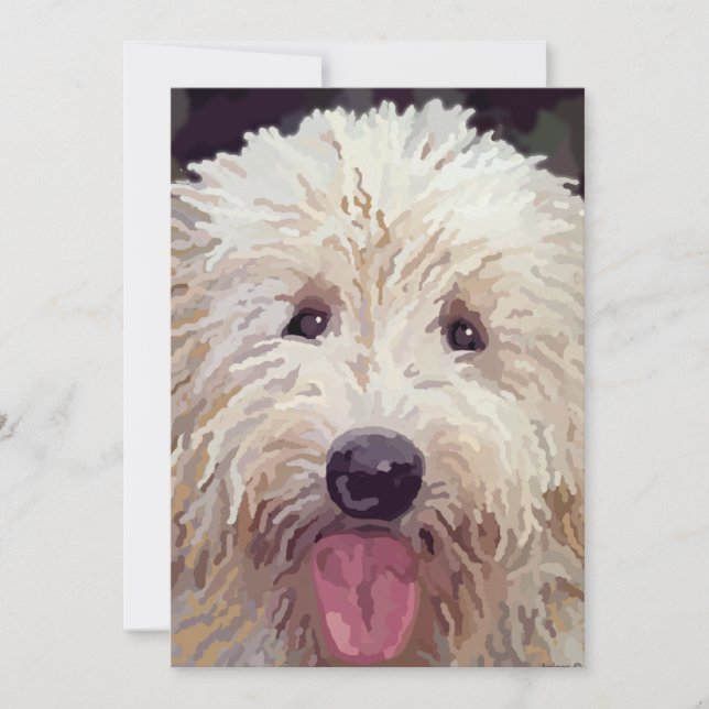 Cartes de recherche Doodle d'or (Devant)