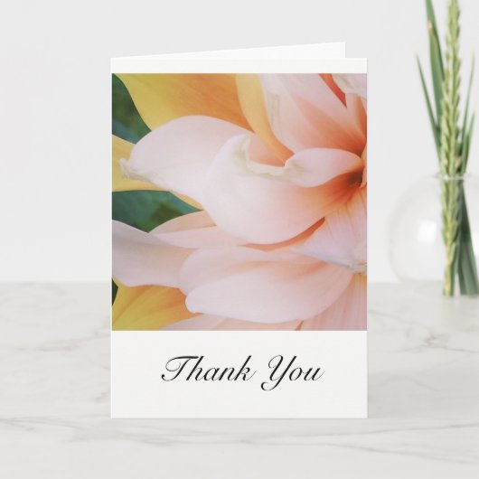 Cartes de remerciement (Devant)