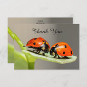 Cartes de remerciement coccinelles coléoptères à p (Devant / Derrière)