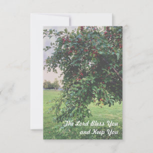 Cartes de remerciement de l'arbre simple