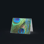 Cartes de remerciement de mariage à Deux Plumes de<br><div class="desc">Cartes de remerciement incroyables pour aller avec l'invitation de mariage aux deux plumes de paon bleu. Les couleurs bleues vibrantes des plumes font une image remarquable qui a été prise avec un objectif fish eye. Faites de vos cartes de remerciement un élément parfait pour votre mariage de paon.</div>