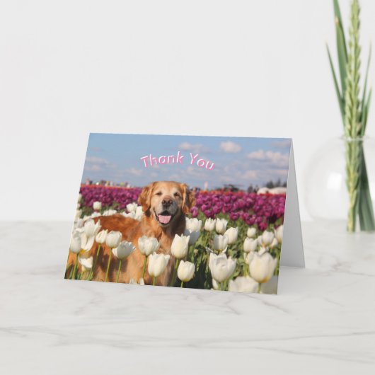 Cartes de remerciements ParkerPup (Devant)