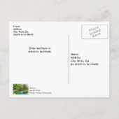 Cartes de remerciements Reflets de Spring Green (Dos)