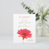 Cartes de Remise de Date Fleur de Gerbera (Debout devant)