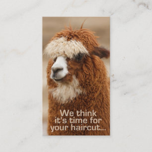 Cartes de rendez-vous de styliste en coiffure
