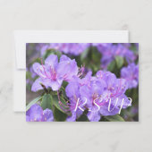 Cartes de réponse florales d'azalée violette (Dos)