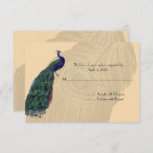 Cartes de réponse Peacock vintages (Devant / Derrière)