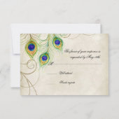 Cartes de réponse RSVP Peacock Feathers (Dos)
