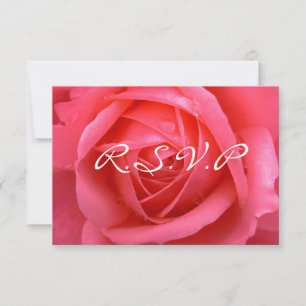Cartes de rose personnalisées RSVP Rose rose