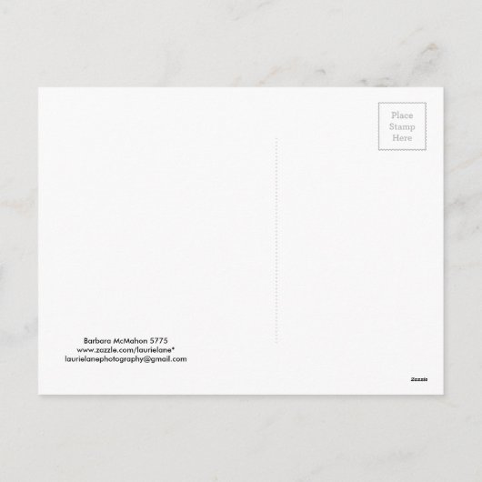 Cartes de Rosh Hashanah Cadeaux (Dos)