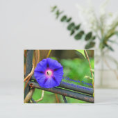 Cartes de Rosh Hashanah Cadeaux (Debout devant)